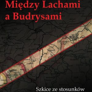Między Lachami a Budrysami. Szkice ze stosunków polsko-litewskich w dziejach najnowszych