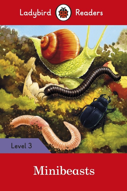 Minibeasts - Ladybird Readers