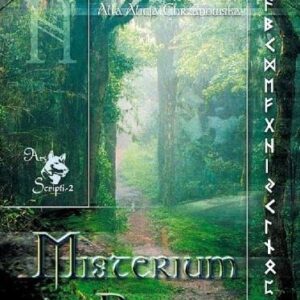 Misterium run w.2
