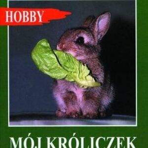 Mój króliczek miniaturowy