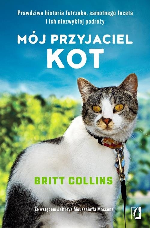 Mój przyjaciel kot. Prawdziwa historia futrzaka, samotnego faceta i ich niezwykłej podróży