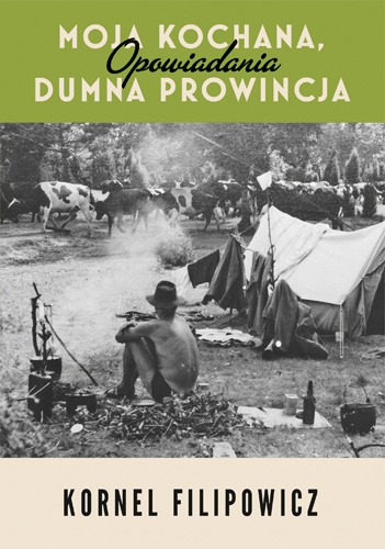 Moja kochana, dumna prowincja