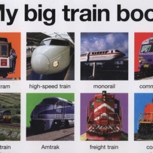 My big train book