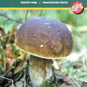 Nadlesnictwo Wielbark