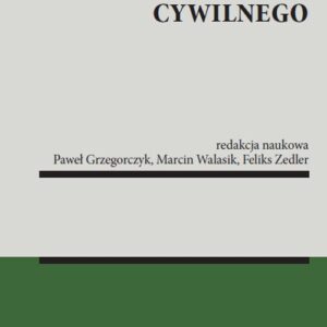 Nadużycie prawa procesowego cywilnego