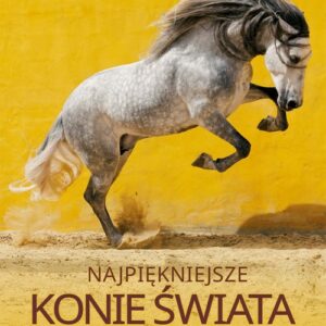 Najpiękniejsze konie świata