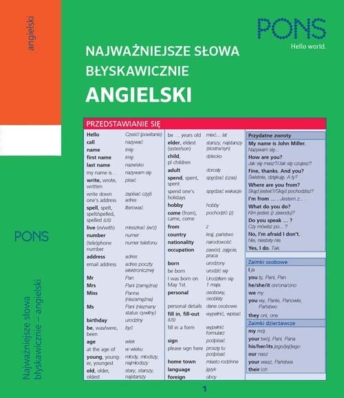 Najważniejsze słowa błyskawicznie Angielski