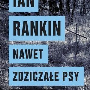 Nawet zdziczałe psy