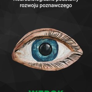 Neurobiologiczne podstawy rozwoju poznawczego - Wzrok