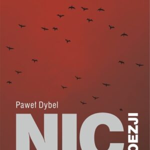 Nic poezji. O liryce filozoficznej Stanisława Czerniaka