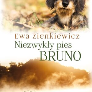 Niezwykły pies Bruno