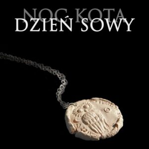 Noc kota dzień sowy