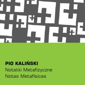 Notatki metafizyczne