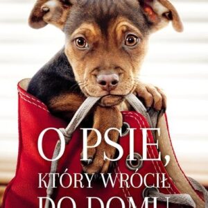 O psie który wrócił do domu