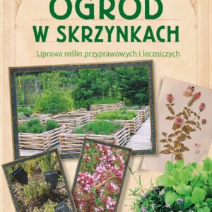 Ogród w skrzynkach Uprawa roślin przyprawowych i leczniczych