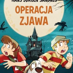 Operacja Zjawa