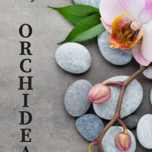 Orchidea