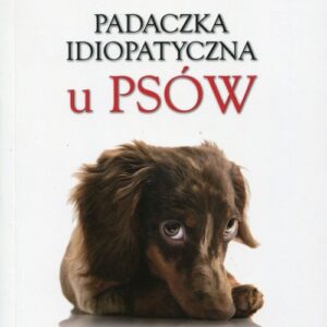 Padaczka idiopatyczna u psów