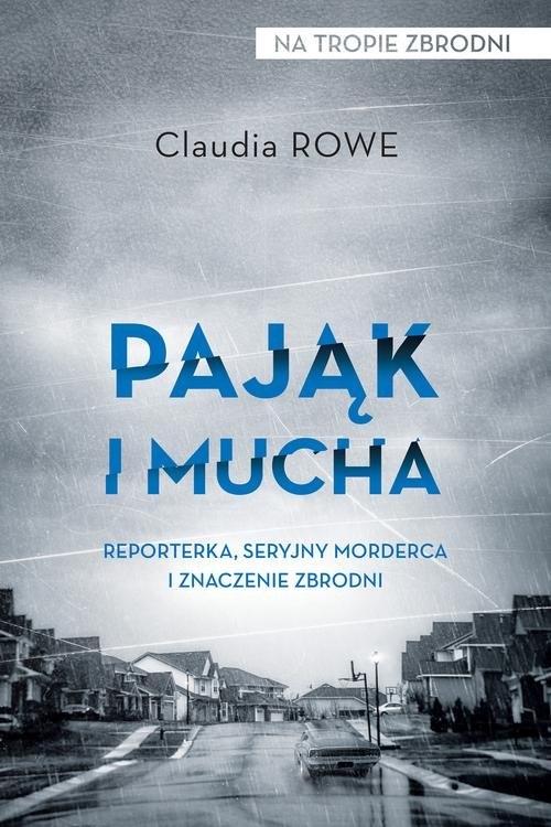 Pająk i mucha