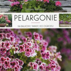 Pelargonie na balkony, tarasy, do ogrodu