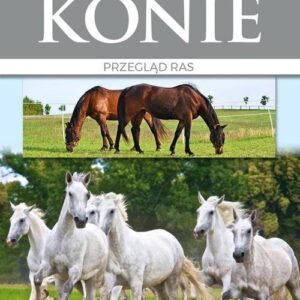 Piękne konie
