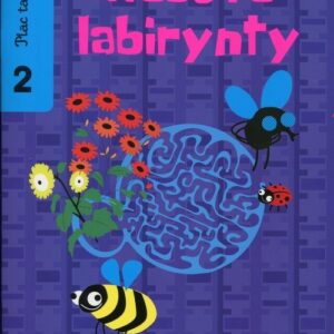 Plac tajemnic 2 Wesołe labirynty. 4-6 lat