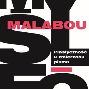 Plastyczność u zmierzchu pisma. Dialektyka, destrukcja, dekonstrukcja