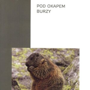 Pod okapem burzy