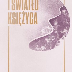 Podróżny i światło księżyca