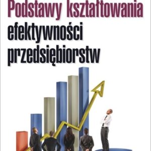 Podstawy kształtowania efektywności przedsiębiorstw