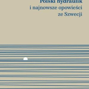 Polski hydraulik i najnowsze opowieści ze Szwecji