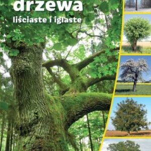 Polskie drzewa liściaste i iglaste