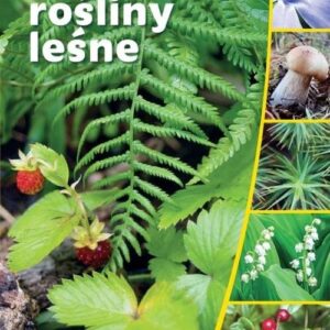 Polskie rośliny leśne