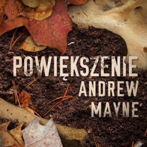 Powiększenie