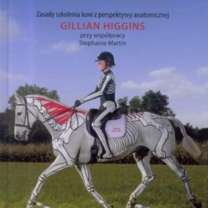 Prawidłowa postawa w treningu koni
