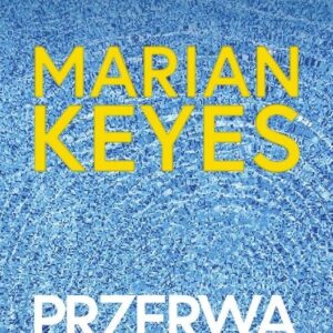 Przerwa