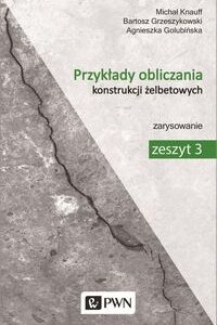 Przykłady obliczania konstrukcji żelbetowych Zeszyt 3