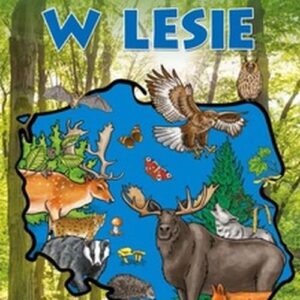 Przyroda Polski W lesie