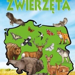 Przyroda Polski. Zwierzęta