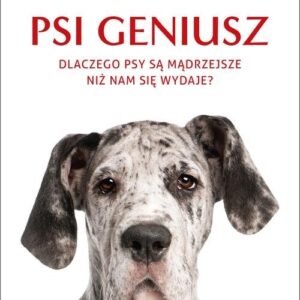 Psi geniusz.. Dlaczego psy są mądrzejsze niż nam się wydaje?