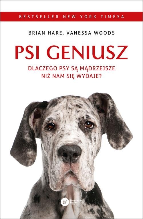 Psi geniusz.. Dlaczego psy są mądrzejsze niż nam się wydaje?