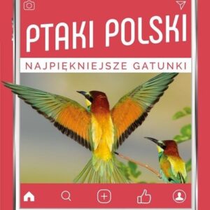Ptaki Polski