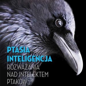 Ptasia inteligencja Rozważania nad intelektem ptaków