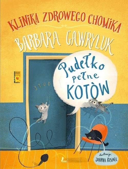 Pudełko pełne kotów Klinika zdrowego chomika