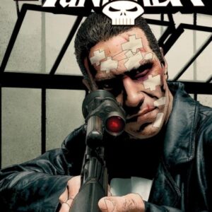 Punisher Max, T.2