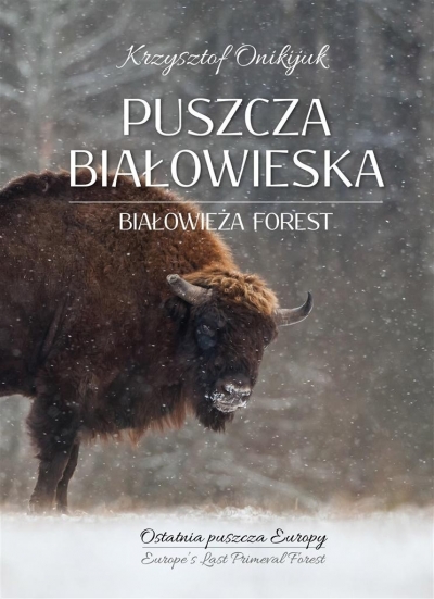 Puszcza Białowieska. Ostatnia puszcza Europy