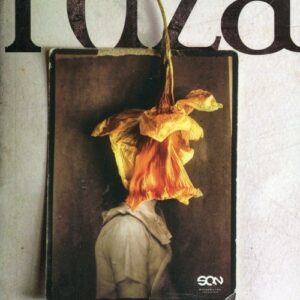 Rdza