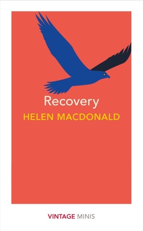 RECOVERY