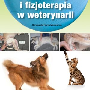 Rehabilitacja i fizjoterapia w weterynarii