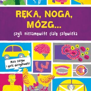 Ręka, noga, mózg... Prawie wszystko o ciele człowieka